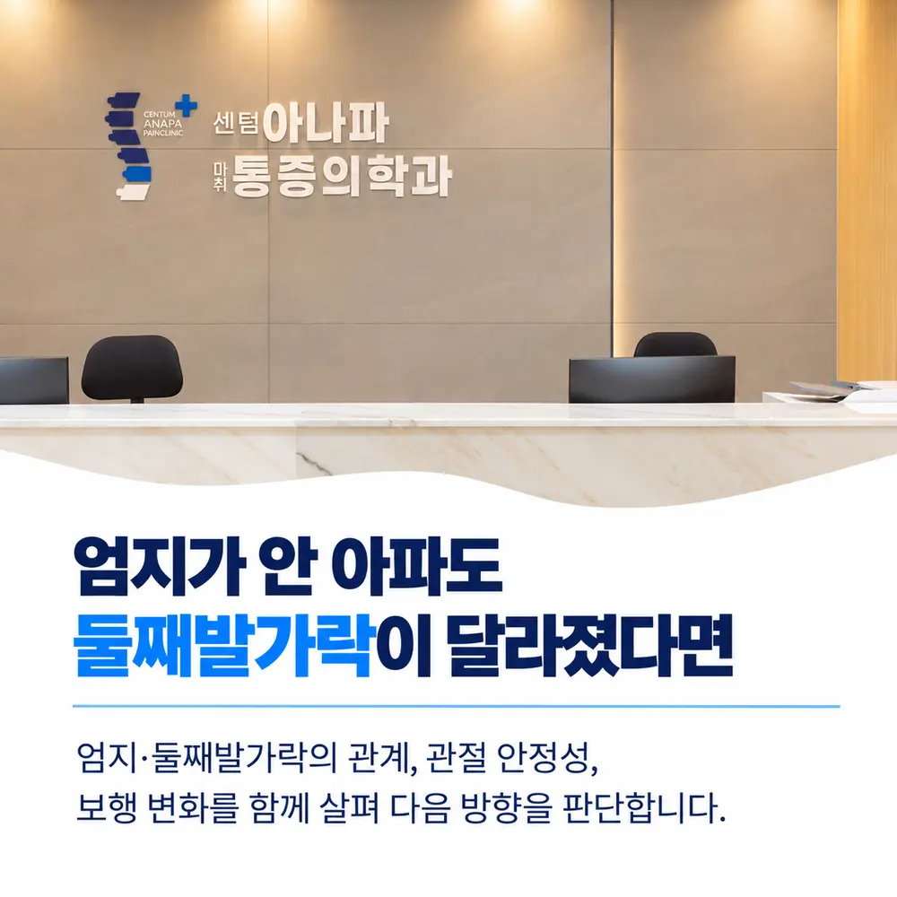 엄지가 안 아파도 둘째발가락이 달라졌다면 - 엄지·둘째발가락의 관계, 관절 안정성, 보행 변화를 함께 살펴 다음 방향을 판단합니다