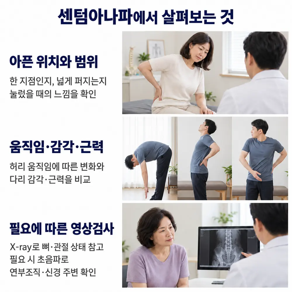 센텀아나파에서 살펴보는 것 - 아픈 위치와 범위: 한 지점인지 넓게 퍼지는지, 눌렀을 때의 느낌을 확인, 움직임·감각·근력: 허리 움직임에 따른 변화와 다리 감각·근력을 비교, 필요에 따른 영상검사: X-ray로 뼈·관절 상태 참고, 필요 시 초음파로 연부조직·신경 주변 확인