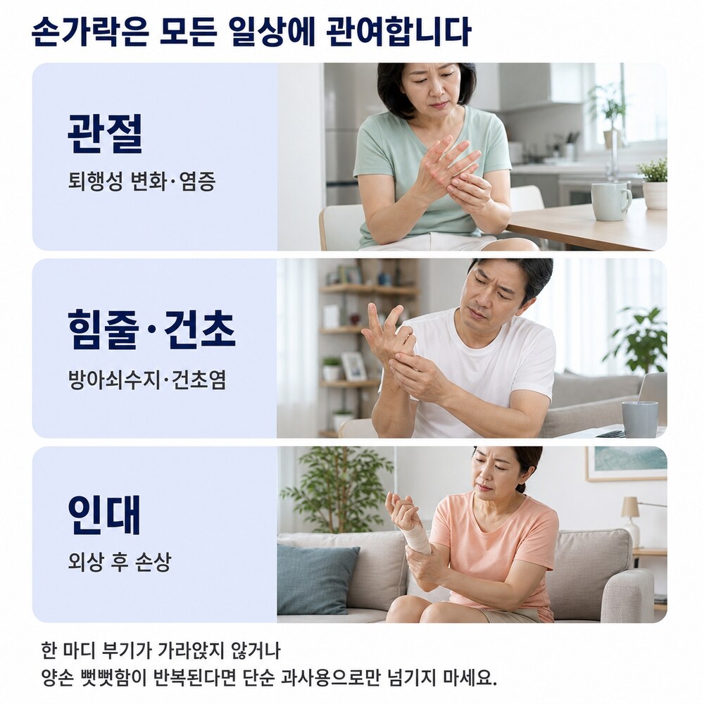 손가락은 모든 일상에 관여합니다 - 관절, 힘줄·건초, 인대
