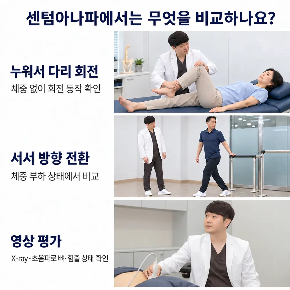 센텀아나파에서는 무엇을 비교하나요 - 누워서 다리 회전: 체중 없이 회전 동작 확인, 서서 방향 전환: 체중 부하 상태에서 비교, 영상 평가: X-ray·초음파로 뼈·힘줄 상태 확인