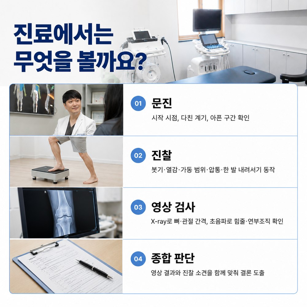 진료에서는 무엇을 볼까요 - 문진, 진찰, 영상 검사, 종합 판단