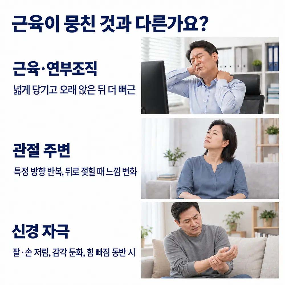 근육이 뭉친 것과 다른가요 - 근육·연부조직: 넓게 당기고 오래 앉은 뒤 더 뻐근, 관절 주변: 특정 방향 반복, 뒤로 젖힐 때 느낌 변화, 신경 자극: 팔·손 저림, 감각 둔화, 힘 빠짐 동반 시