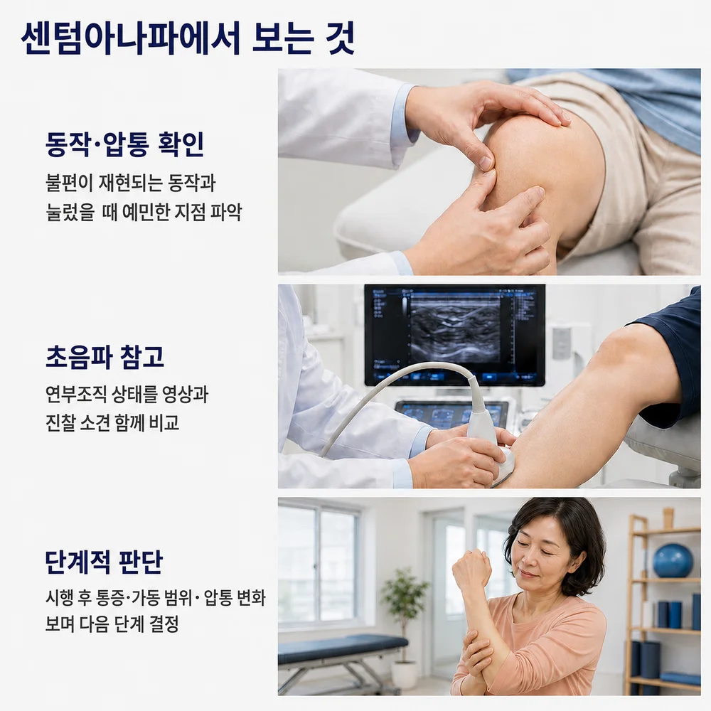 센텀아나파에서 보는 것 - 동작·압통 확인, 초음파 참고, 단계적 판단