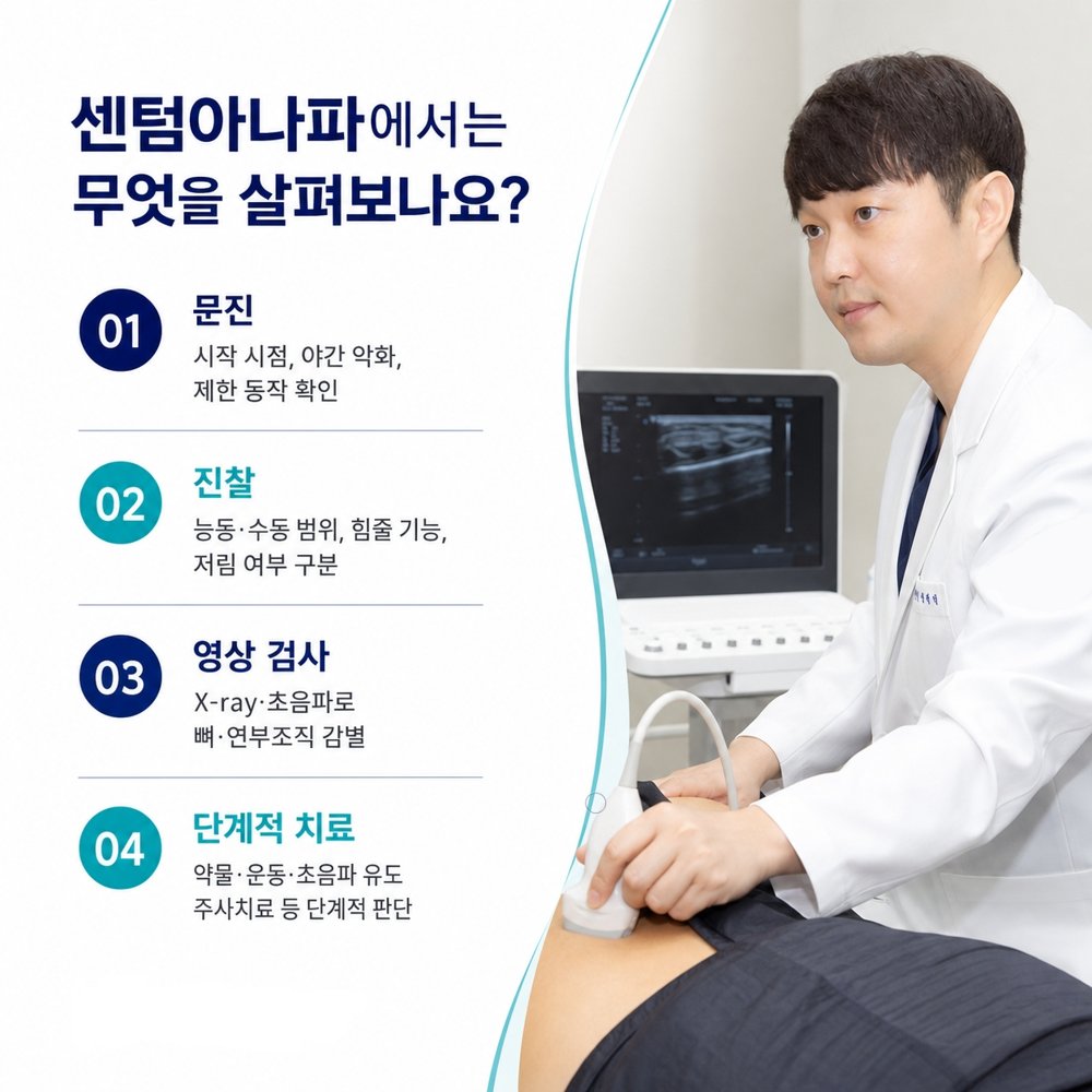센텀아나파에서는 무엇을 살펴보나요 - 문진, 진찰, 영상 검사, 단계적 치료