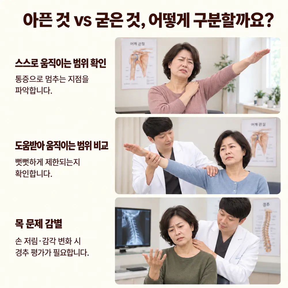 아픈 것 vs 굳은 것, 어떻게 구분할까요 - 스스로 움직이는 범위 확인: 통증으로 멈추는 지점을 파악합니다, 도움받아 움직이는 범위 비교: 뻣뻣하게 제한되는지 확인합니다, 목 문제 감별: 손 저림·감각 변화 시 경추 평가가 필요합니다