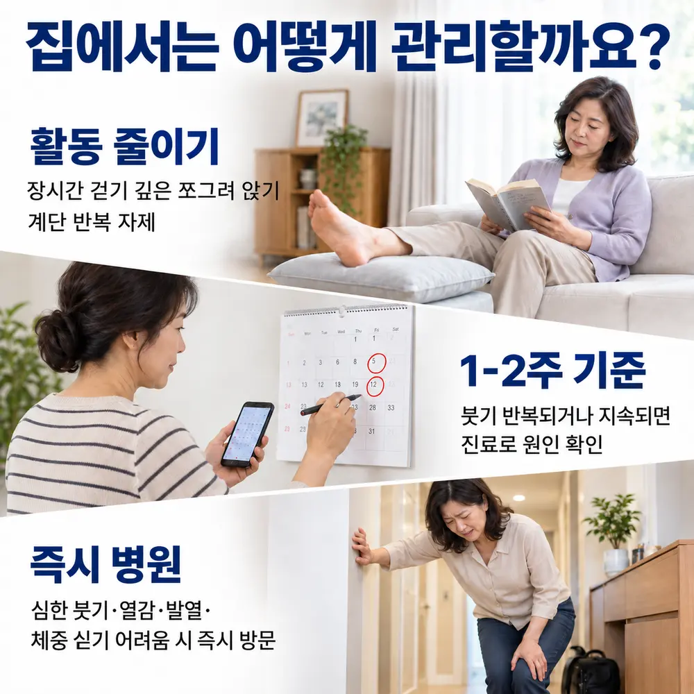 집에서는 어떻게 관리할까요 - 활동 줄이기: 장시간 걷기·깊은 쪼그려 앉기·계단 반복 자제, 1-2주 기준: 붓기 반복되거나 지속되면 진료로 원인 확인, 즉시 병원: 심한 붓기·열감·발열·체중 싣기 어려움 시 즉시 방문